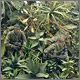 LRRP
