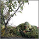 В засаде. D-Day, 02.00